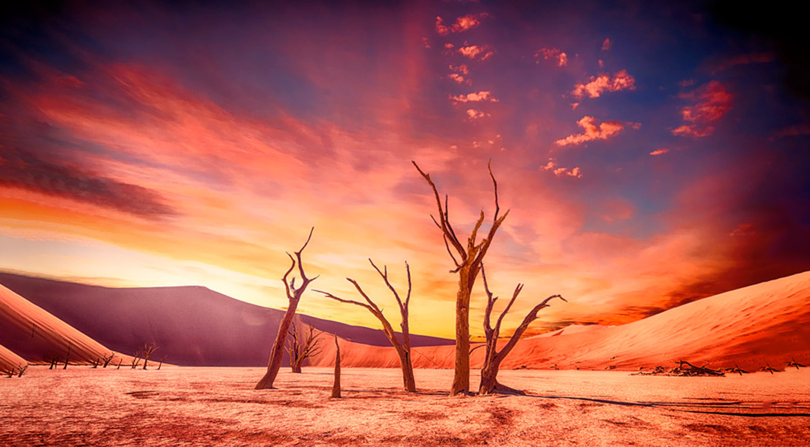 Estrategia Nacional de Cambio Climático